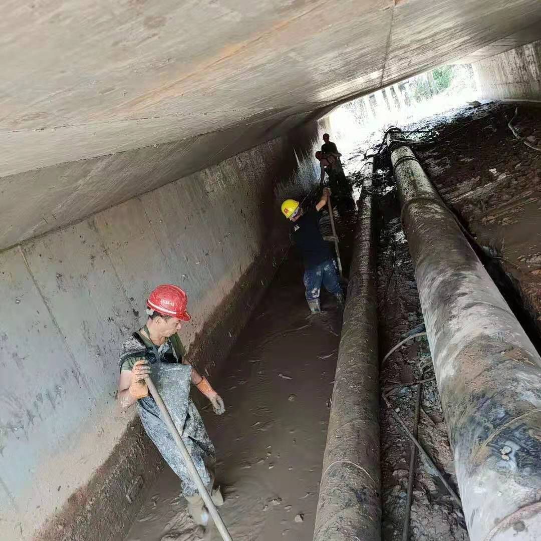 排湖风景区工业管道清淤
